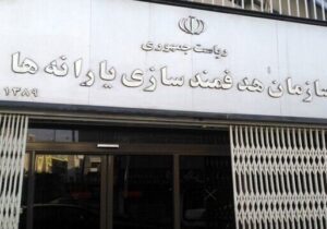 حذف یارانه «پر درآمدها»؛ آیا دولت کاری خلاف قانون انجام داده است؟